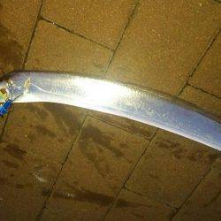 サゴシ回ってきた。