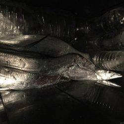 期待していなかったが…