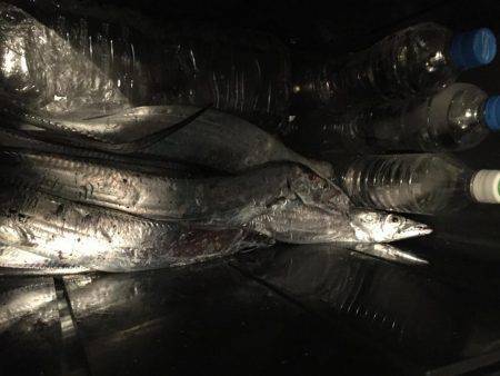 期待していなかったが…