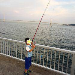 ファミリーフィッシング