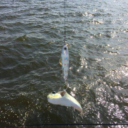 ただ巻きのほうが・・・