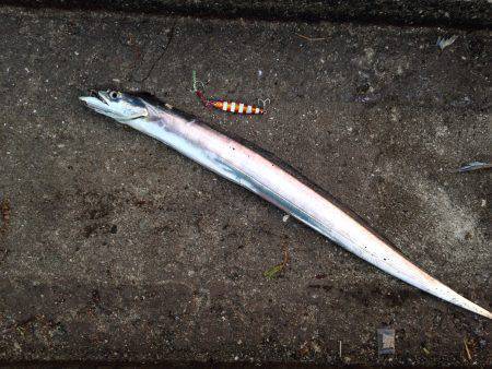 お盆休み駆け込み釣行