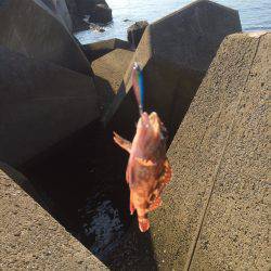 マイクロジギング