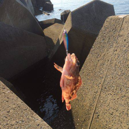 マイクロジギング