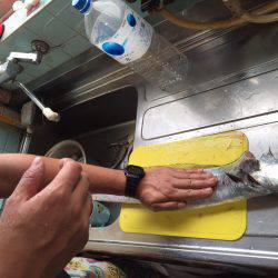 ショアジギング