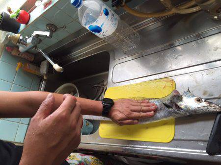 ショアジギング