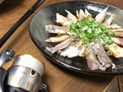 鯵を鯵の餌で釣るの巻