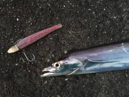 パーラダァイスでした（≧∇≦）