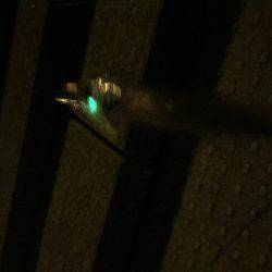 朝のウォーミングアップに^o^