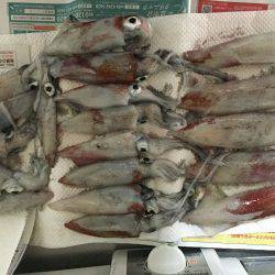 サイズ上がりませんが…