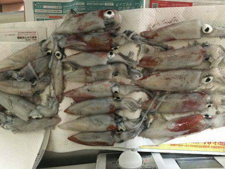 サイズ上がりませんが…