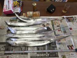 太刀魚ワインド