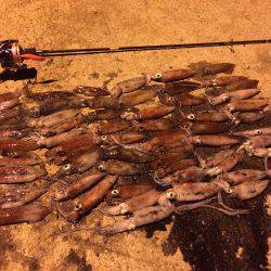 ショアのライケンゲーム