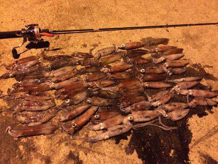 ショアのライケンゲーム