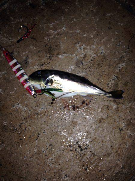 スタートはやっぱり外道