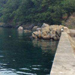 海水浴ついでの釣行in神子