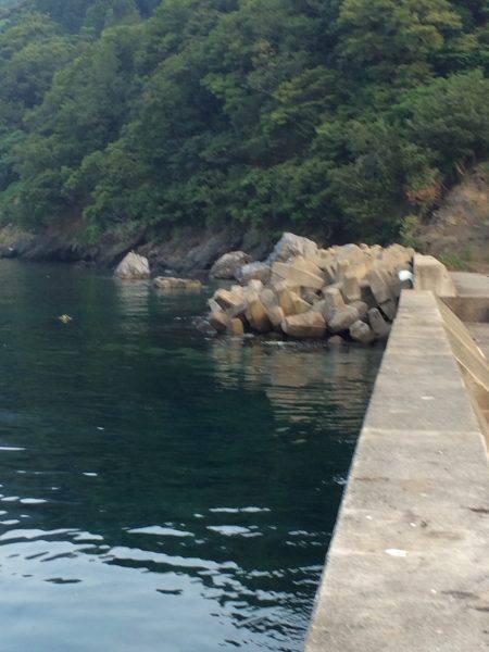 海水浴ついでの釣行in神子