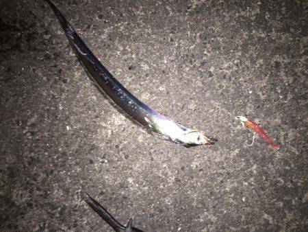 太刀魚ワインド