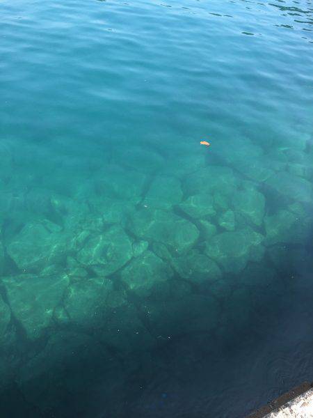 ライト開始です!