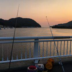 アジのサビキ釣り