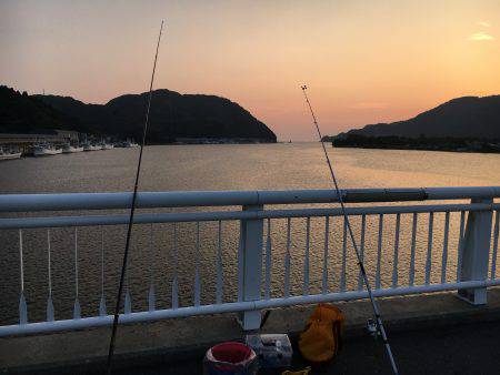 アジのサビキ釣り