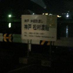 爆風のちサゴシ