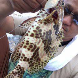 バカンスでちょい投げ（ルアー）