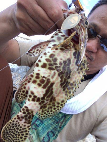 バカンスでちょい投げ（ルアー）