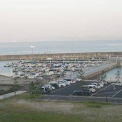 ケンサキイカ狙いも釣れたのはタコ