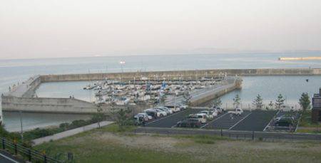 ケンサキイカ狙いも釣れたのはタコ