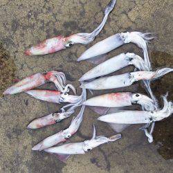 久々に会った友達とケンサキ狙い！