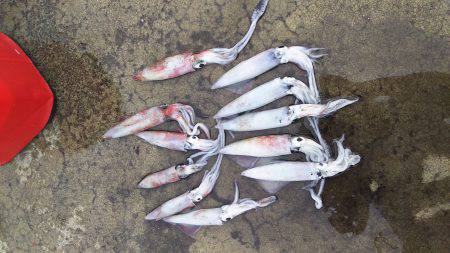 久々に会った友達とケンサキ狙い！