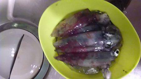 ライトエギング