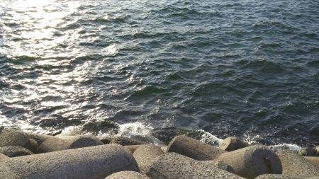 サゴシ、太刀魚GET！！