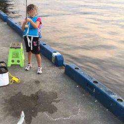 ワインドvsジグサビキ