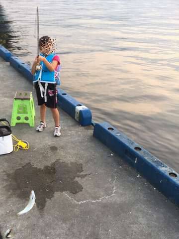 ワインドvsジグサビキ