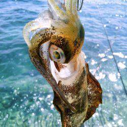 風に負けるな♪