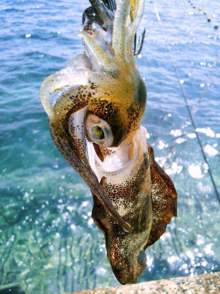 風に負けるな♪