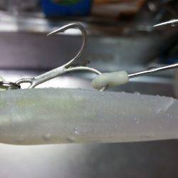 タチウオ、高活性。でも雷雨が…