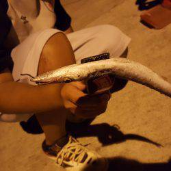 試投会のちアジ！