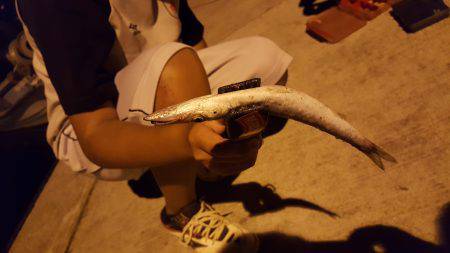 試投会のちアジ！