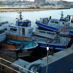 爆釣、夏タチ！