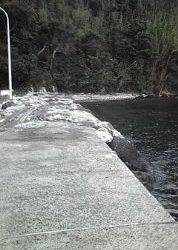 トップウォーター！