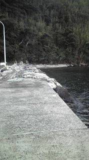 トップウォーター！