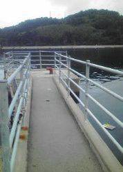 ロックフィッシュ！