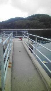 ロックフィッシュ！