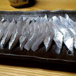 いつまで続くか?!夏タチ爆釣!