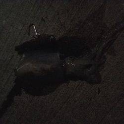 強風の中にて。