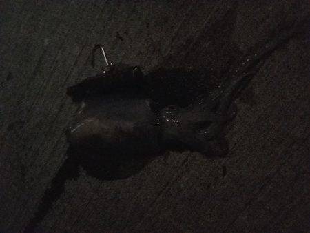 強風の中にて。