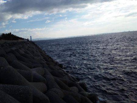 復調の兆し、ポツポツと！